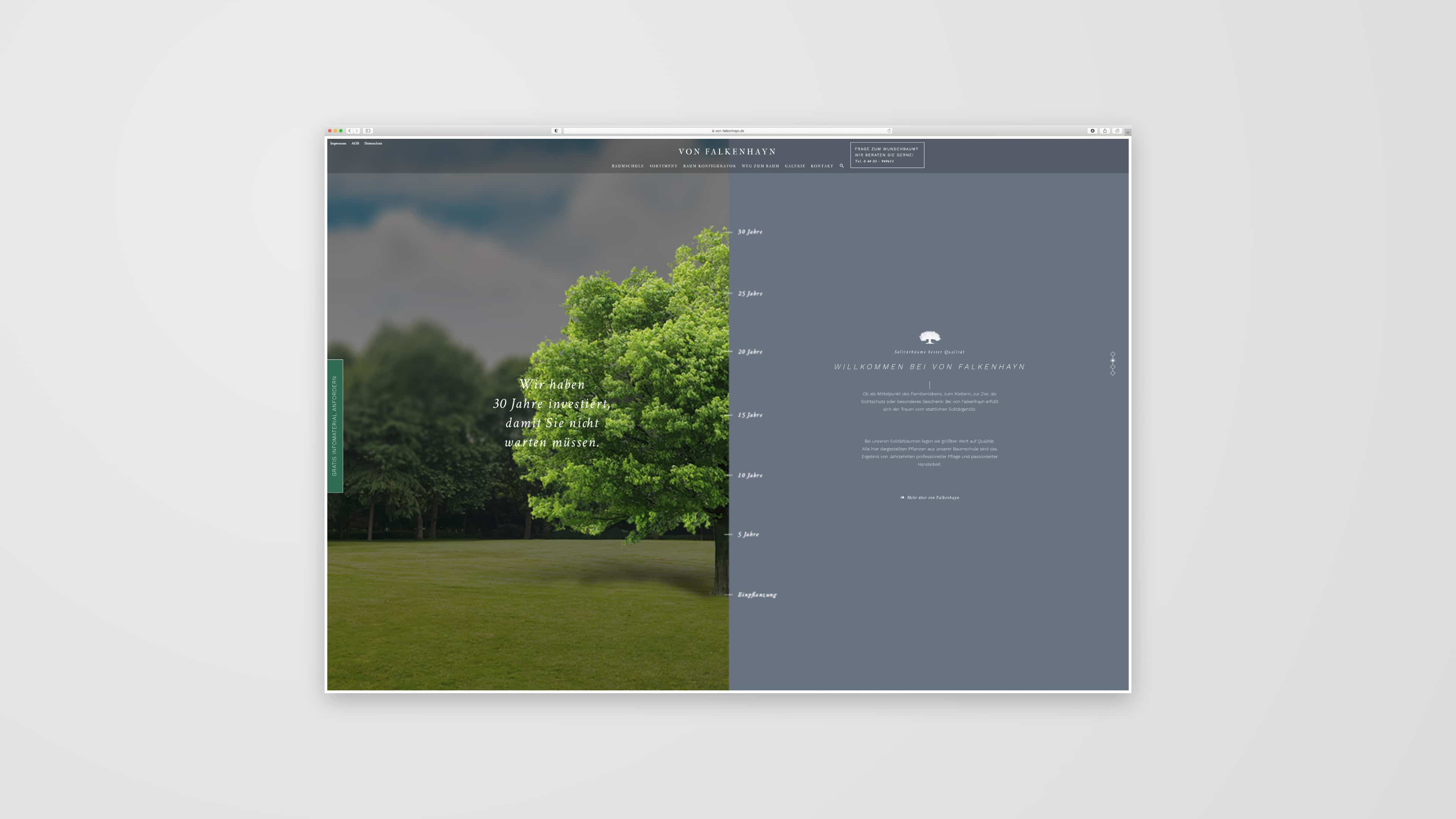 Screendesign von der Homepage von Falkenhayn mit grünem Baum