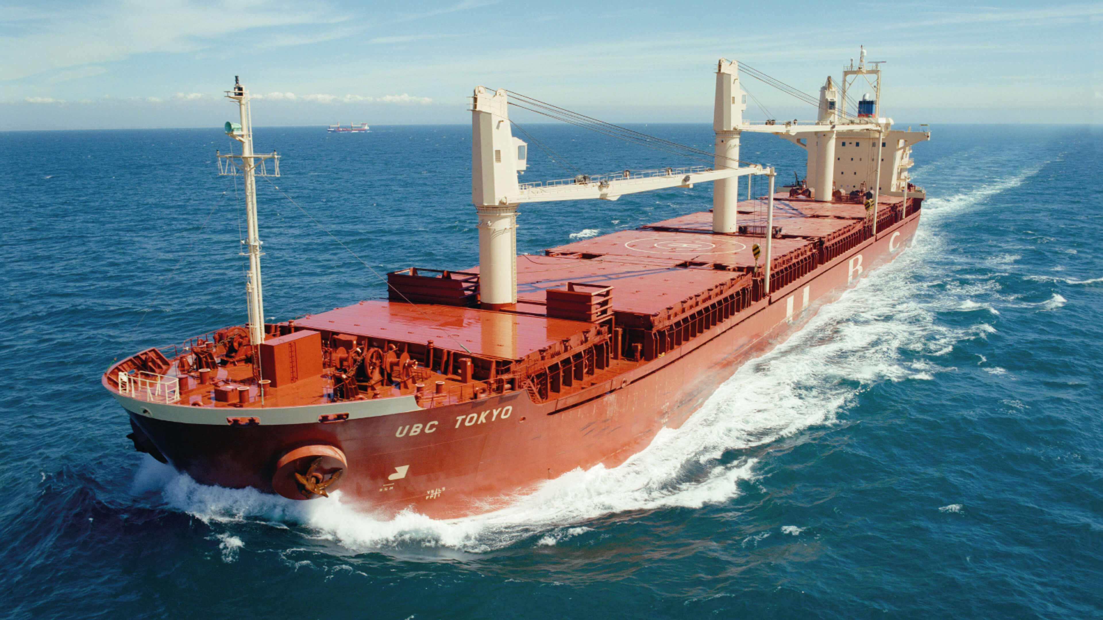 Rotes Containerschiff fährt auf Meer