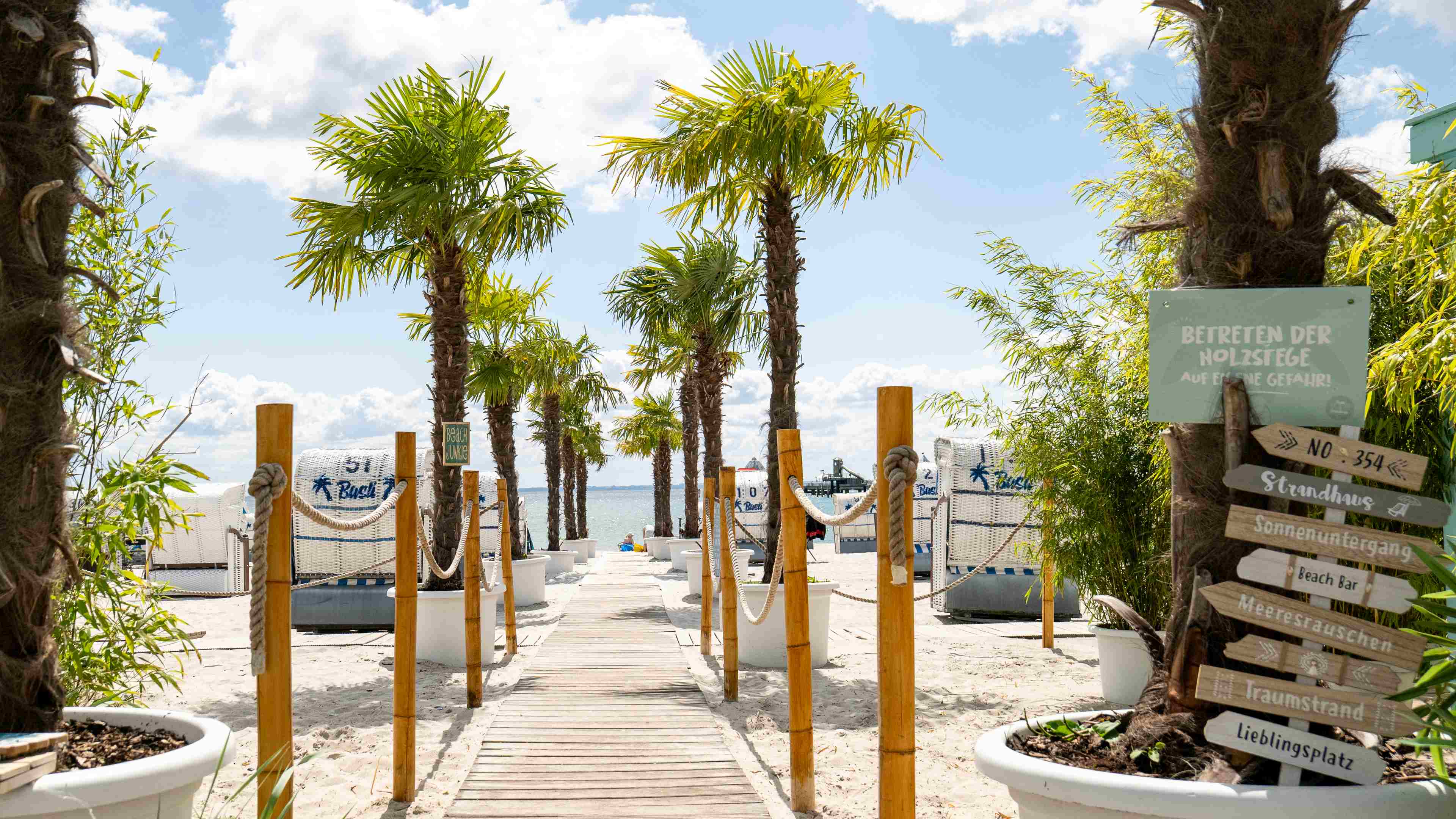 h2_tsg_slider_03.jpg Ein Holzweg am Strand zum Wasser runter mit Palmen in Töpfen und Strandkörben an den Seiten
