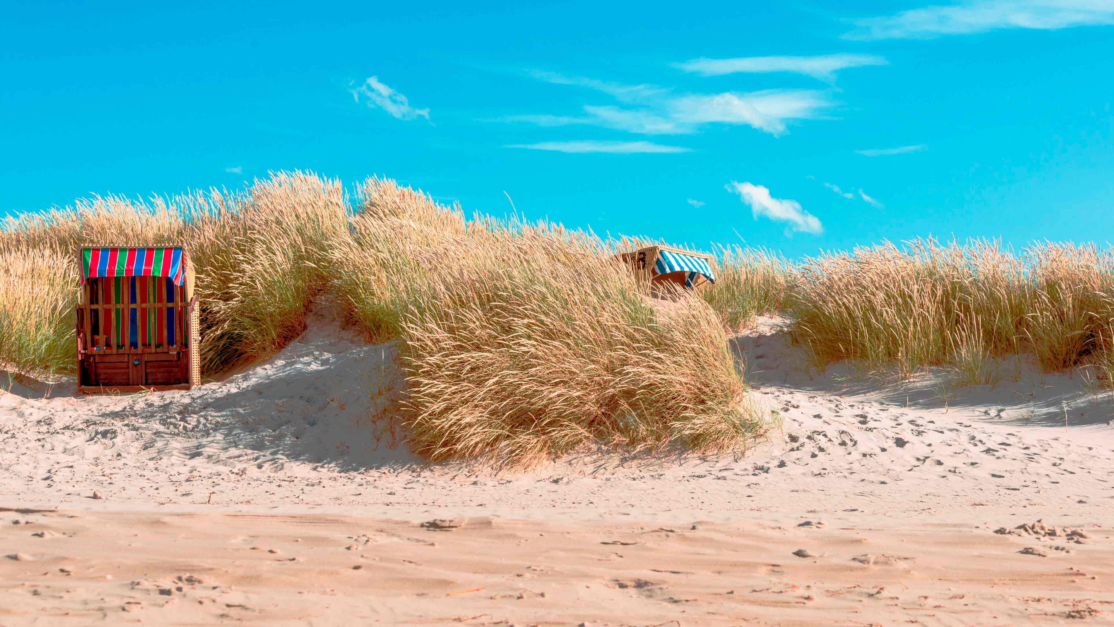 Strandkorb in den Dünen