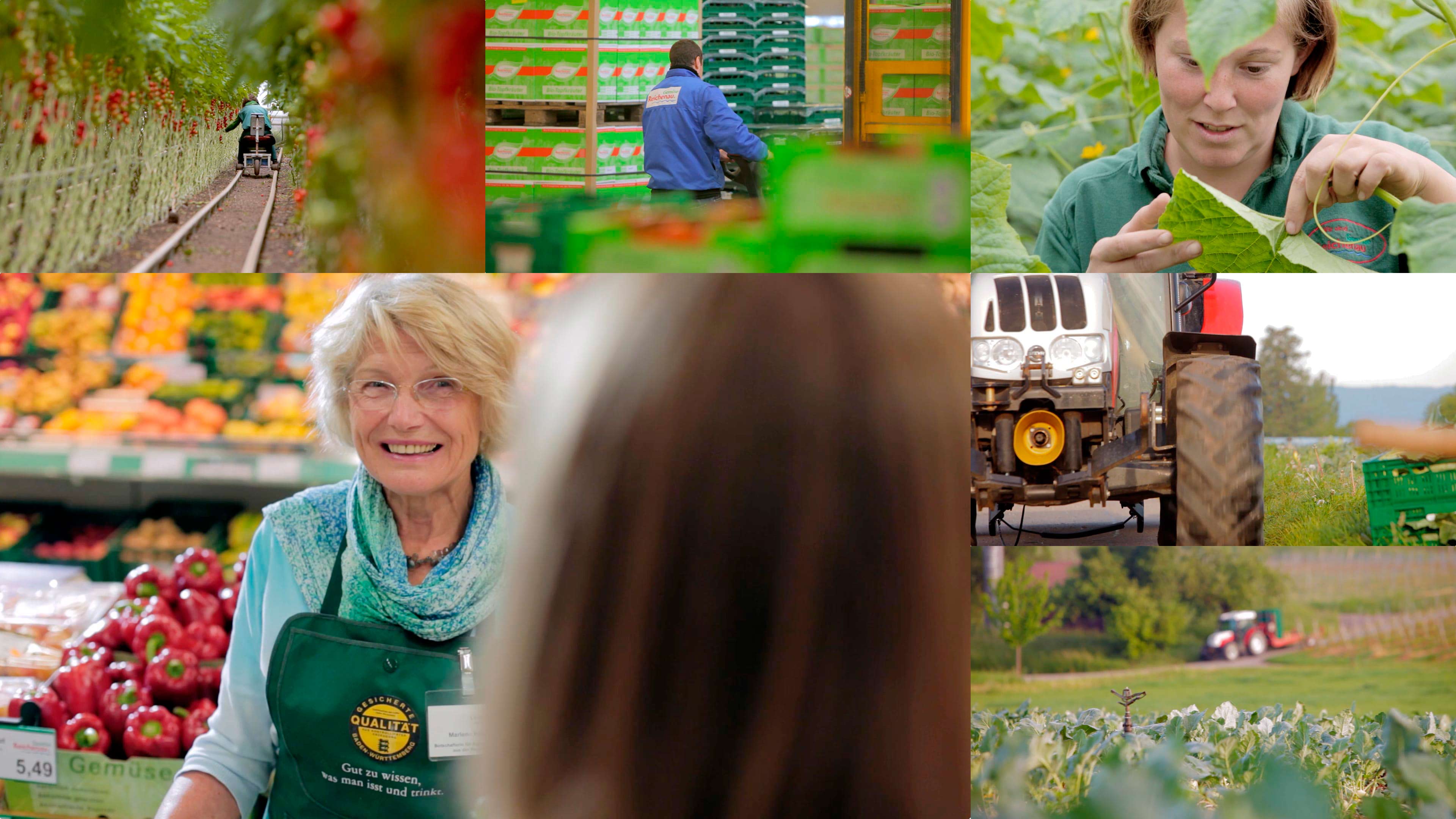Bildercollage der Tomateninsel