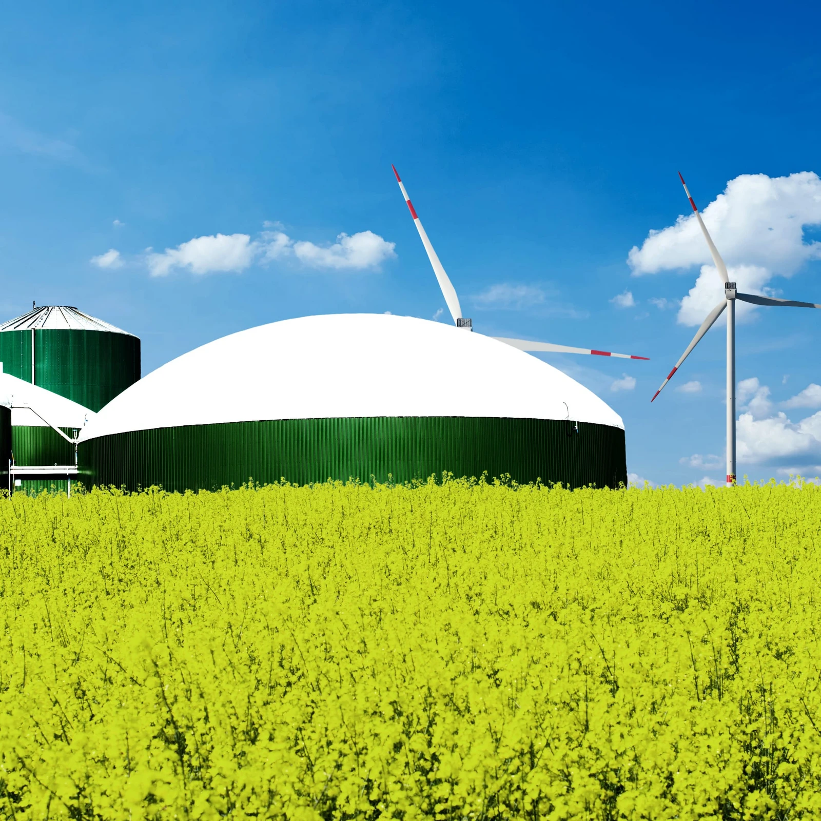 hochzwei_ntec_teaser_07.jpg Biogasanlage mit Rapsfeld im Vordergrund