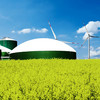 Biogasanlage mit Rapsfeld im Vordergrund