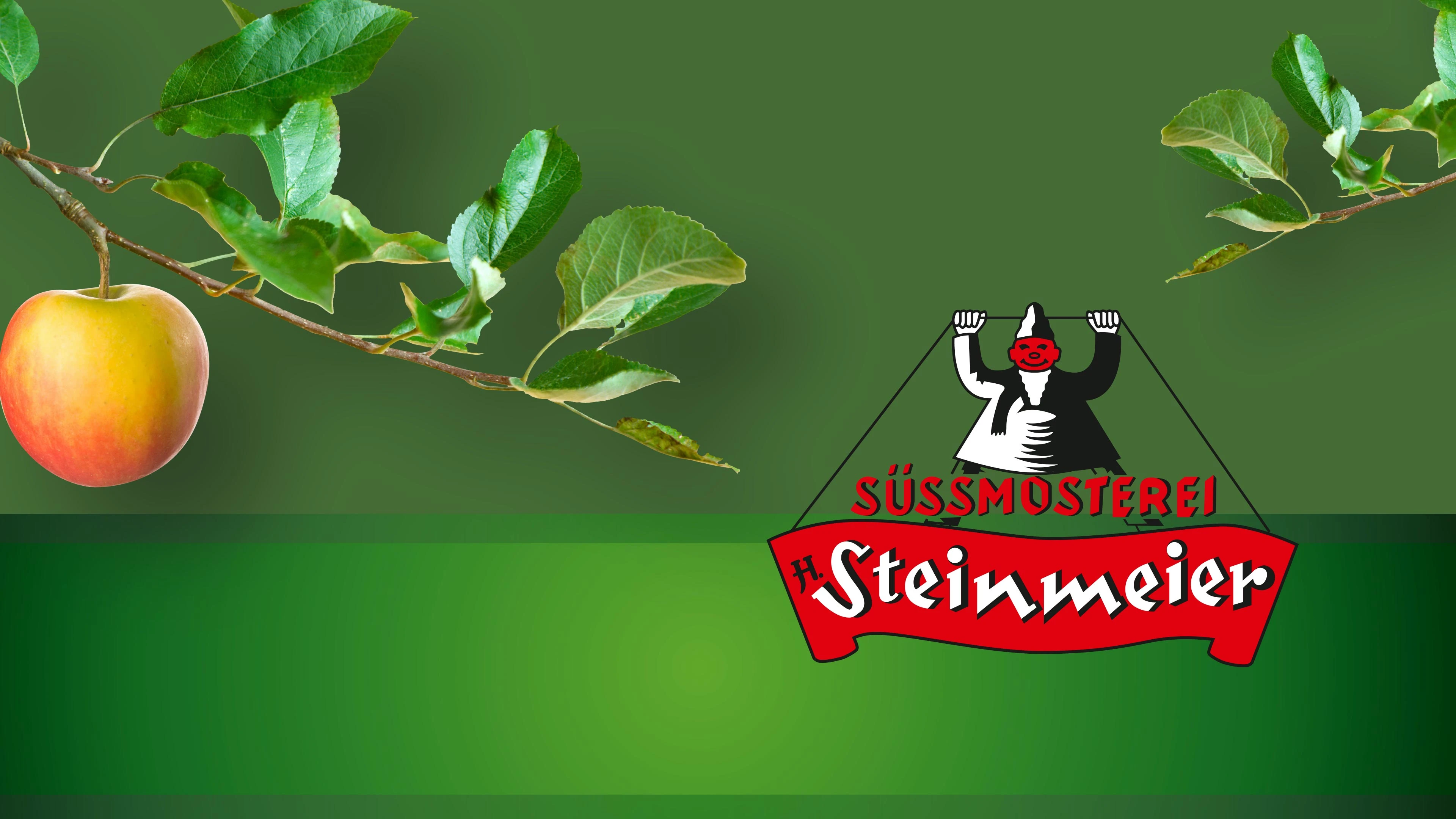 Steinmeier Homepage Header mit Orange
