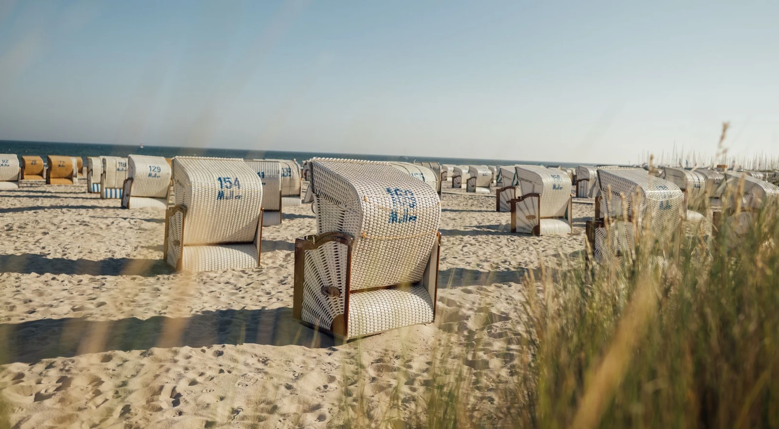 h2_tsg_teaser_02.jpg Foto des Strandes mit vielen Strandkörben