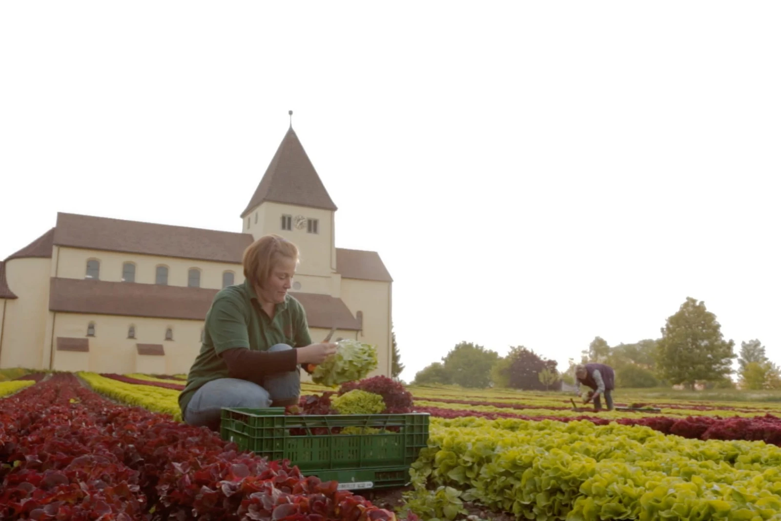 Zwei Frauen auf einem Gemüsefeld