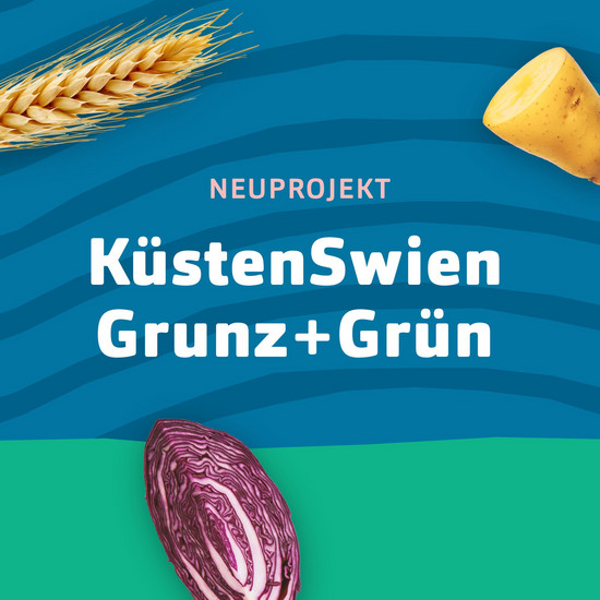 Neuprojekt: KüstenSwien Grunz + Grün