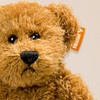 Ein brauner Teddybär mit einem Schild am Ohr
