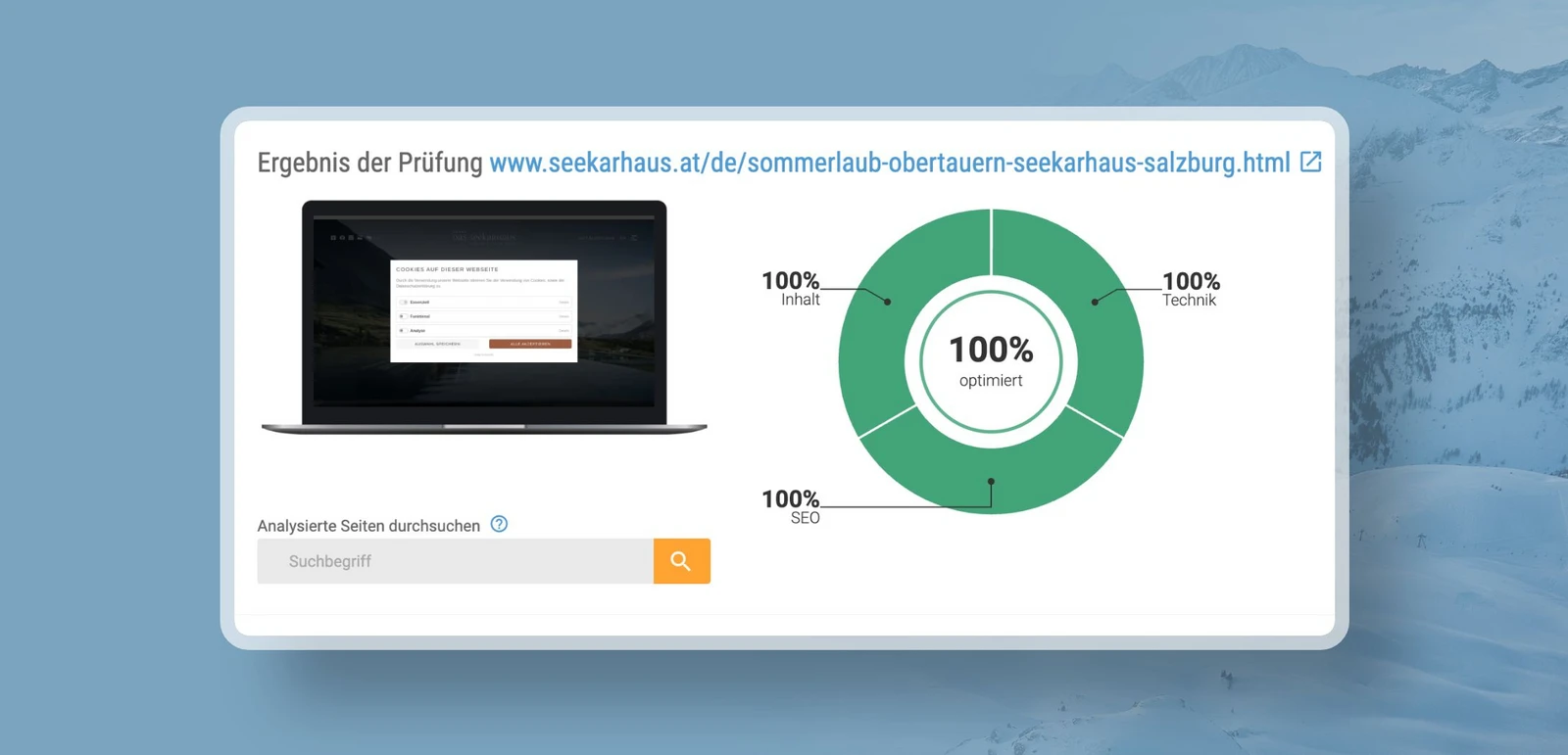 hochzwei_seeka_teaser_05.jpg Screenshot des Side Audit Ergebnisses von 100%