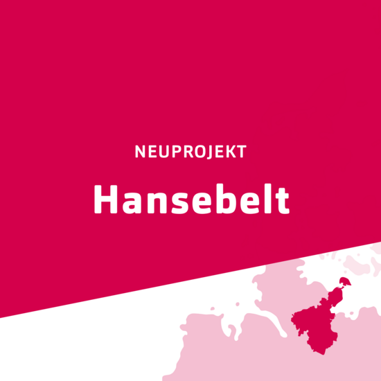 Pinke Kachel von Hansebelt