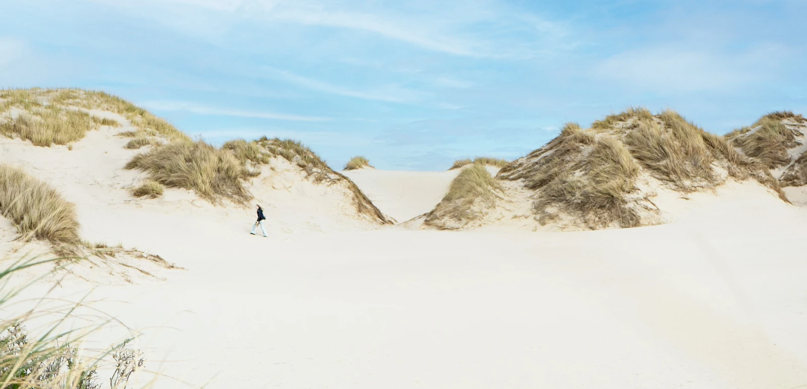 h2_grenzuebergreifendes-marketing_teaser_01.jpg Bewachsene Dünen am Strand