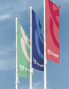 Grüne, blaue und rote Flagge mit Logo