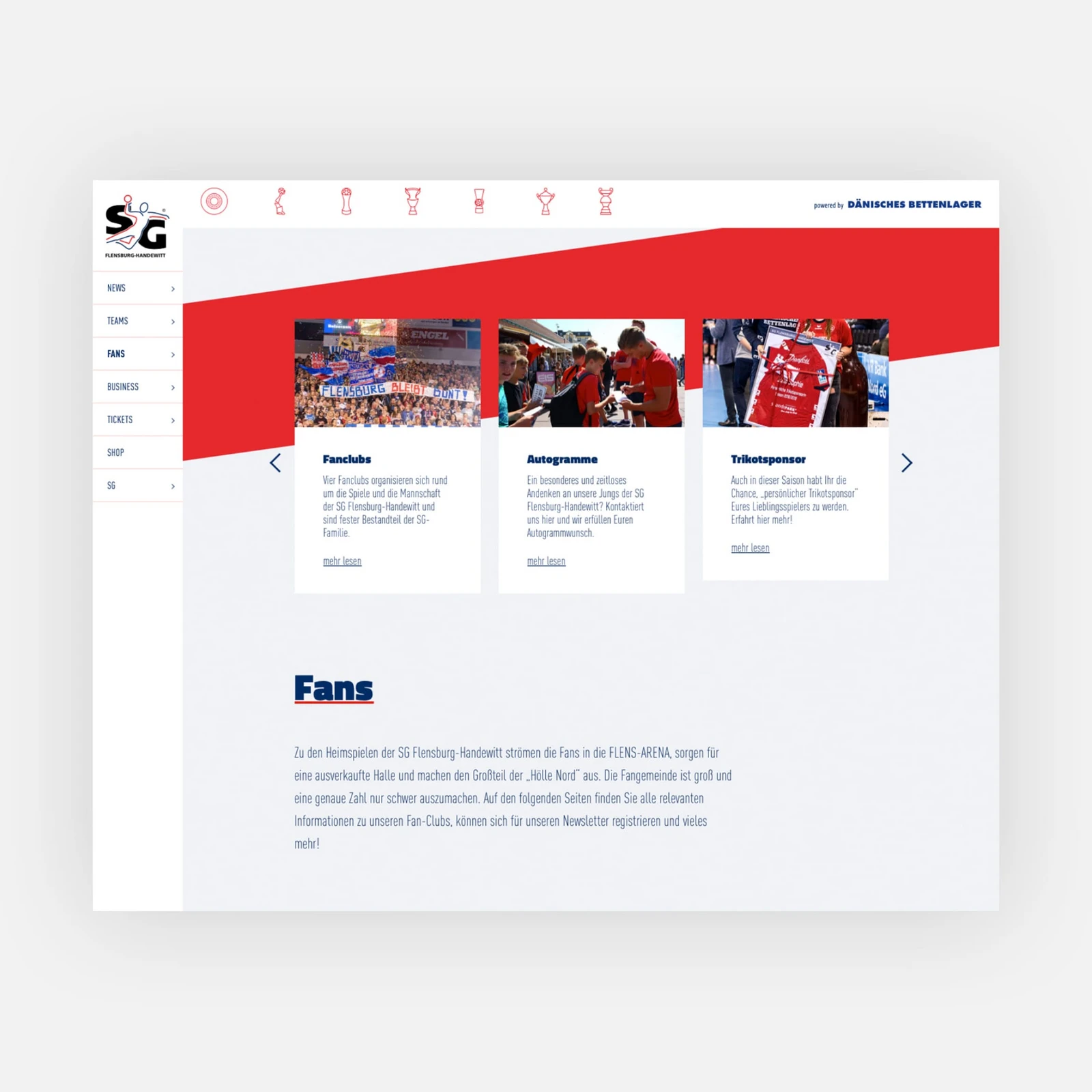 Fanclub Seite der SG Flensburg Handewitt