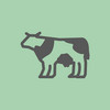 Illustrierte Kuh auf grünem Hintergrund