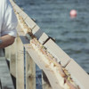 Auf dem Handlauf der Seebrücke montierte Schiene mit dem längsten Hotdog der Welt