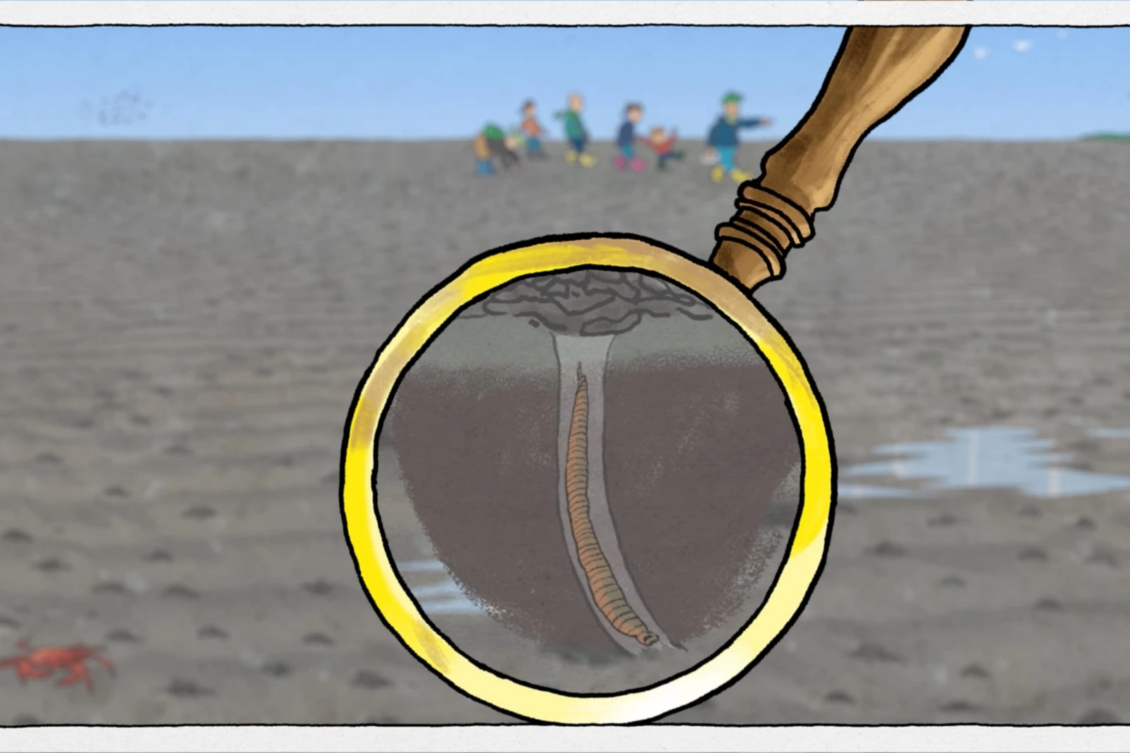 bb_wwf_wattenmeer_teaser_02.jpg Ein Wurm wird unter die Lupe genommen