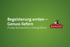 Steinmeier Logo mit Werbespruch