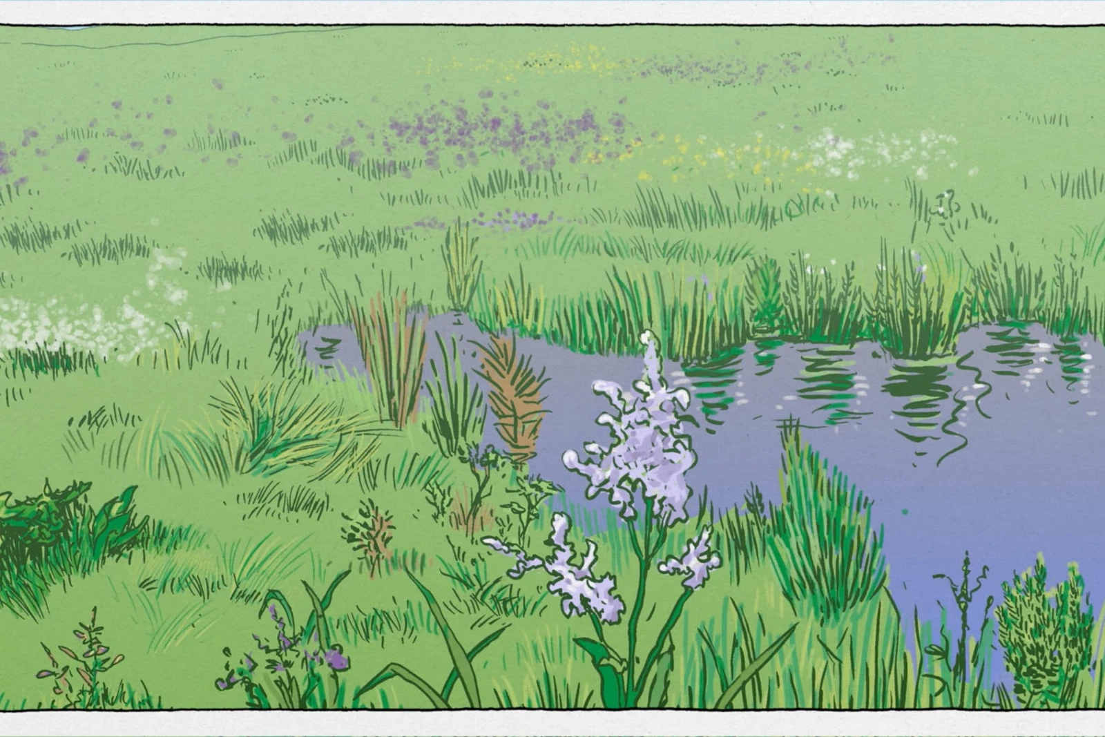 bb_wwf_wattenmeer_teaser_06.jpg Grüne gezeichnete Wiese mit einem kleinen See