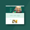 Ein grüner Homepage Ausschnitt der Versorgungskasse
