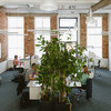 Blick auf sechs Arbeitsplätze, zu sehen sind drei Mitarbeiter, die an ihren Schreibtischen sitzen, eine große Pflanze im Vordergrund und hohe weiße Fenster im Hintergrund