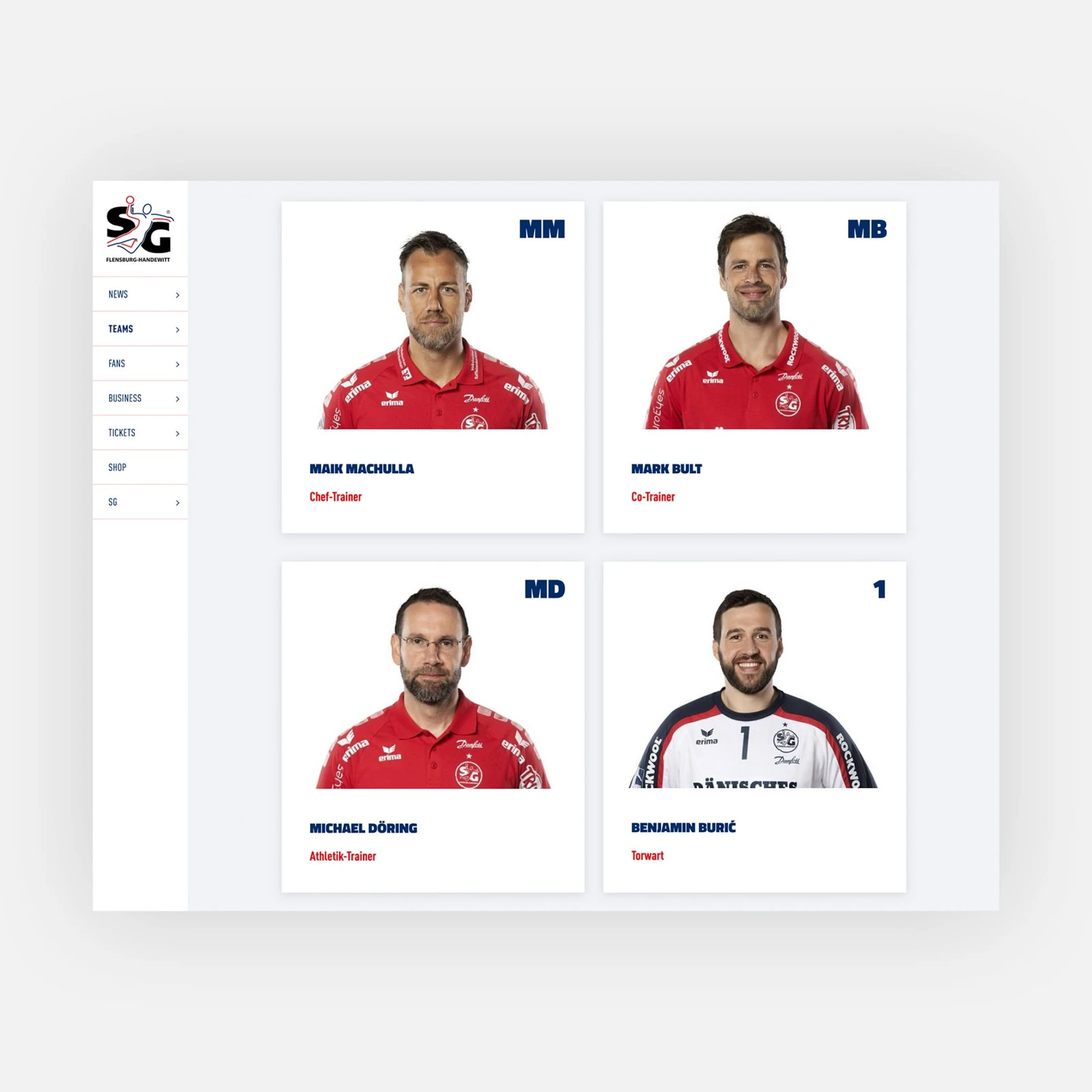 Vier Spielerprofile der SG Flensburg Handewitt