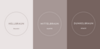 Drei Farben für das Corporate Design für Mona Paulsen