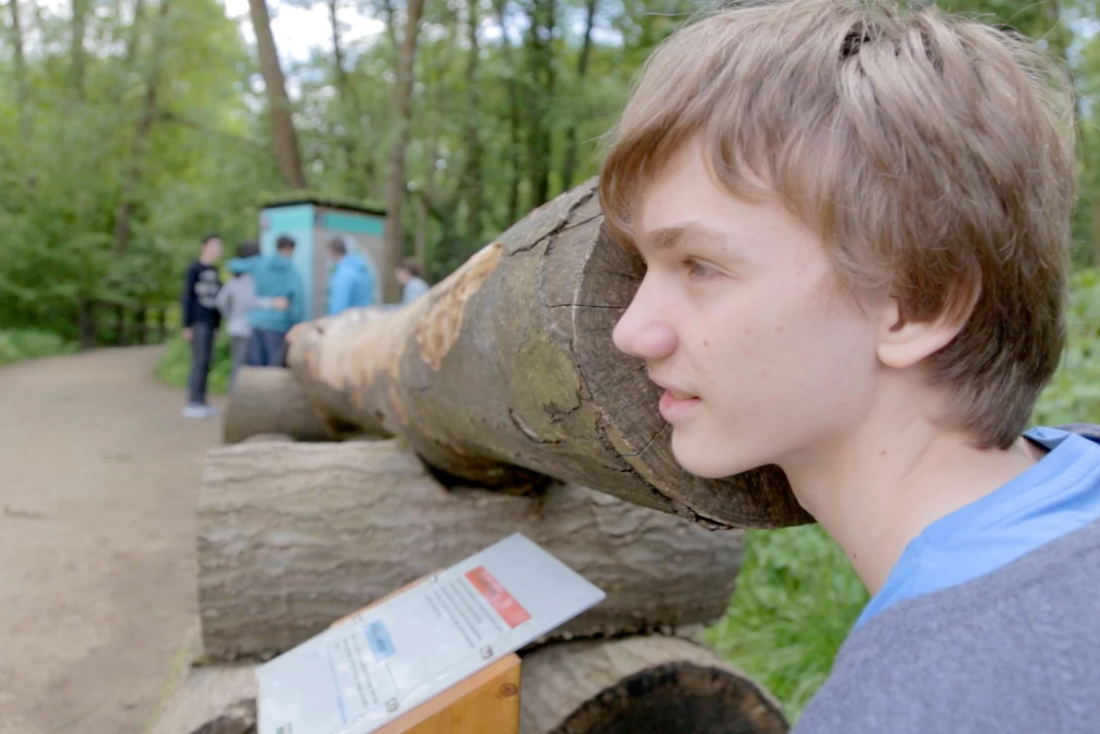 bb_bildungsgut_teaser_03.jpg