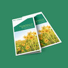 Zwei Flyer mit gelben Blumen vor grünem Hintergrund