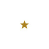 Goldener fünfzackiger Stern vor weißem Hintergrund