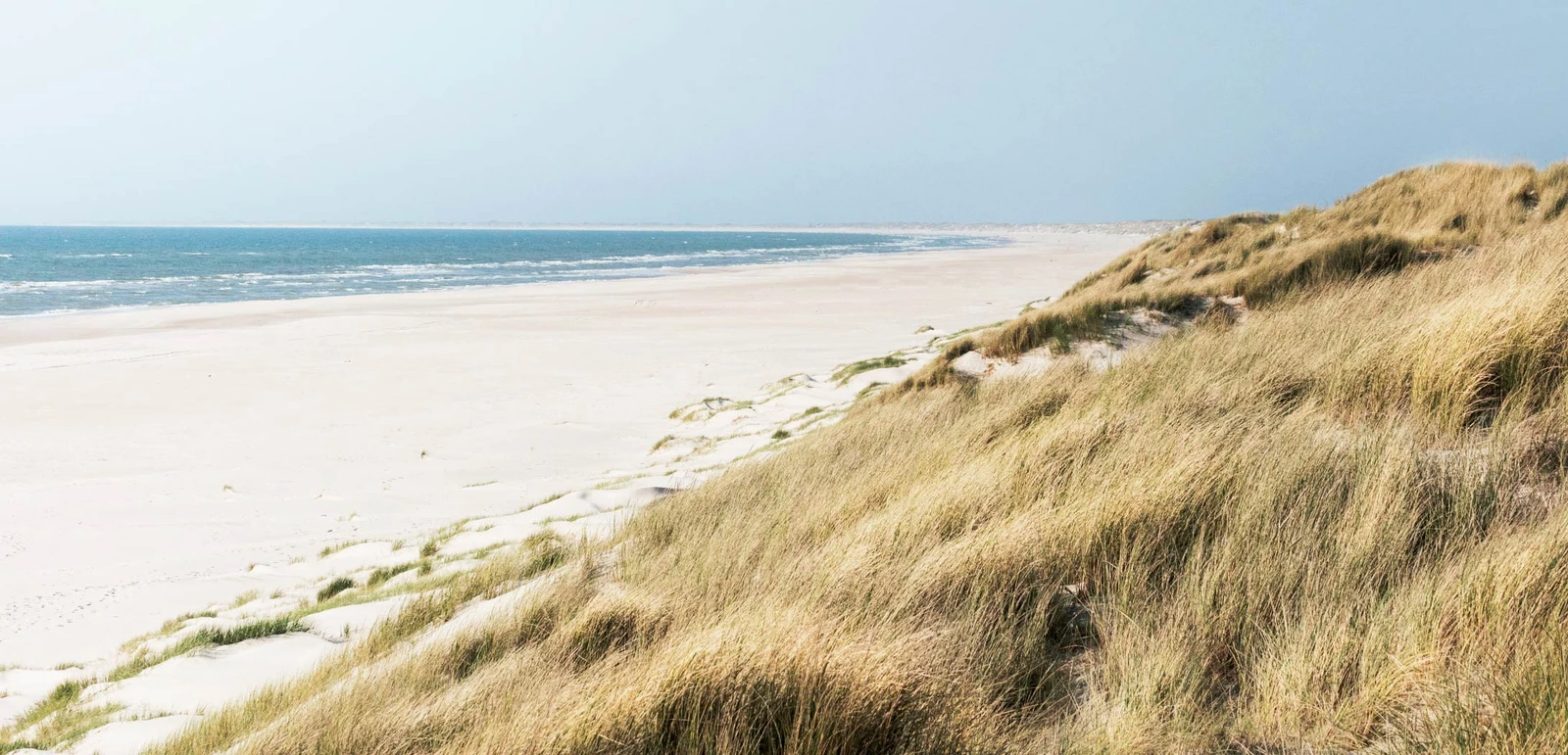 h2_grenzuebergreifendes-marketing_teaser_08.jpg Ein schöner weißer Strand