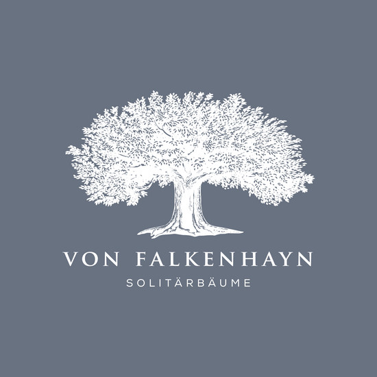 Grau weißes Logo von von Falkenhayn