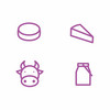 Vier minimalistische lila Icons für runden Käse, Käsedreieck, Kuh und Milch