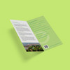 Din-Lang-Flyer für Bioenergie Gettorf in hellgrün vor grünem Hintergrund